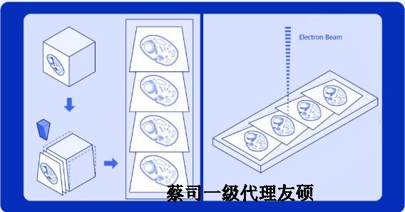 阿拉善蔡司阿拉善扫描电镜